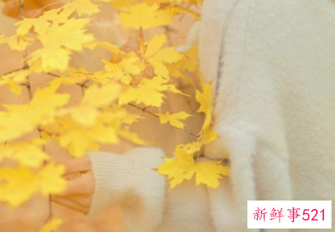 拍照姿势大全摆法