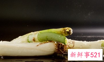 秋季养生食谱及功效