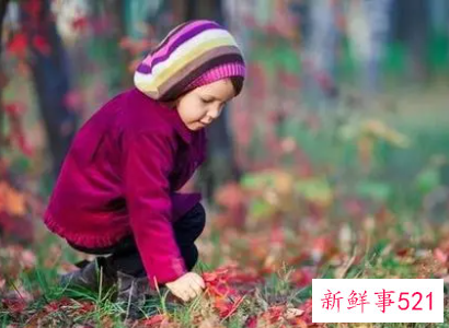 面对挫折作文800字