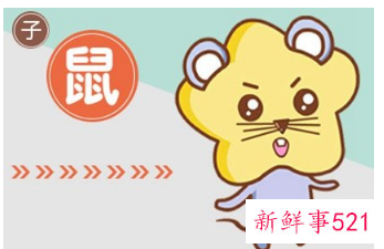 什么生肖不适合戴玉