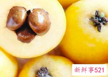 枇杷的功效与作用及营养价值