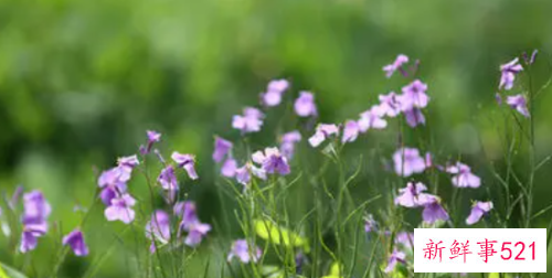 小技巧成就诱人简历