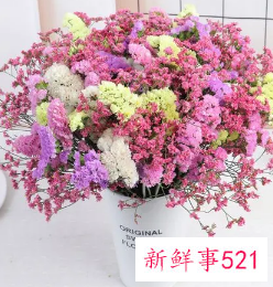 家里放满天星干花好吗