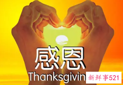 表达对公司感恩的句子