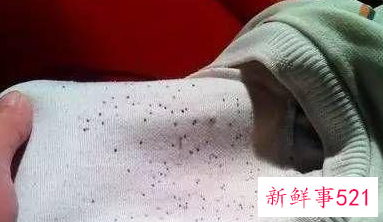 发霉用什么洗能洗掉