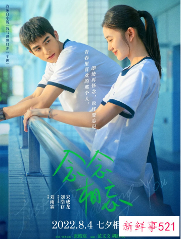 2022年电影档期情况