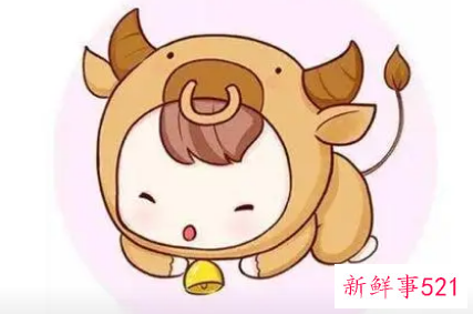 金牛座做什么工作有天赋