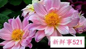 为什么女人出轨又不愿意离婚