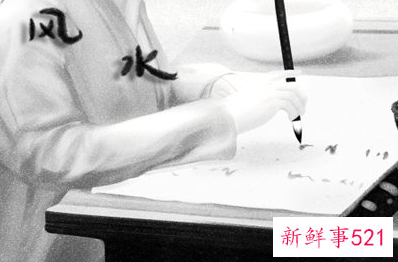 招财树的风水布置讲究