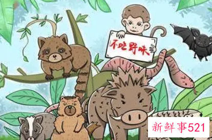 如何保护野生动物和环境