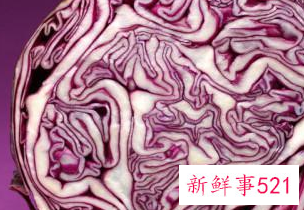 什么食物吃了对胃有好处