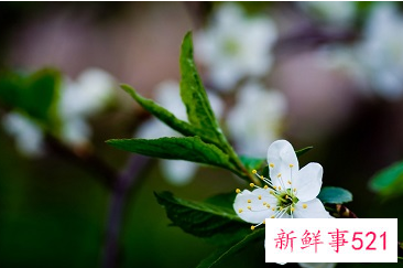 立春的日子好吗