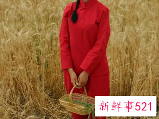 农村的漂亮姑娘