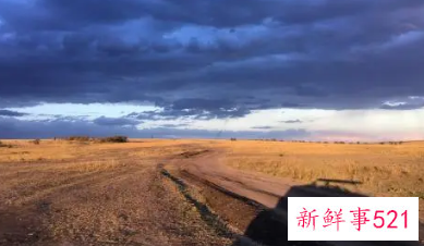 梦见狂野有什么征兆