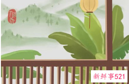 旺风水的植物有哪些