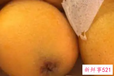 吃枇杷果的好处有哪些