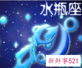 水瓶座最喜欢的宠物