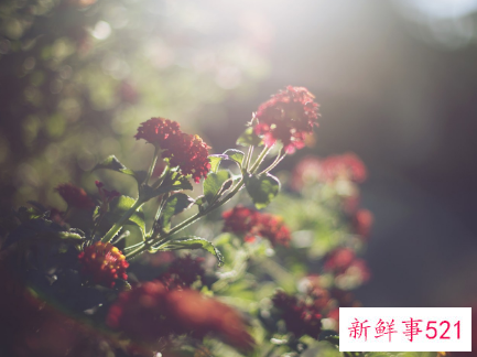 这样的男性更受女性青睐