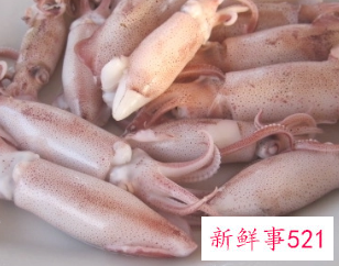 鱿鱼的性味归经