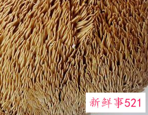 什么食物吃了对胃有好处