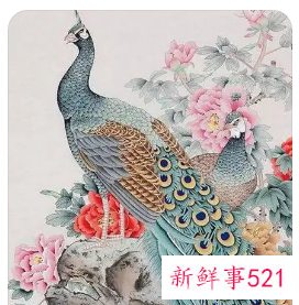 孔雀在风水中代表什么