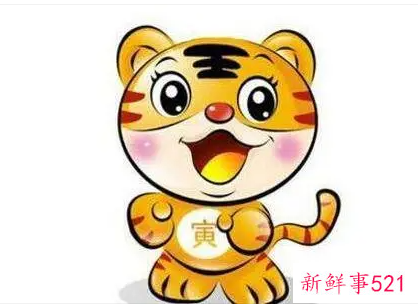 虎年旺的四大属相