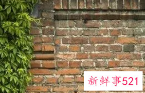 梦见房屋墙壁破烂是什么预兆