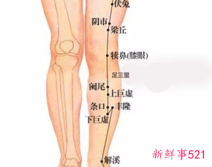如何把身体调整到最佳状态