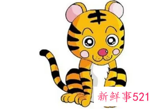 属虎男跟属蛇女婚姻相配吗