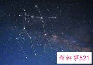 为什么双子座单身率高