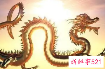 属龙是哪年出生的