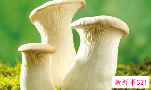 杏鲍菇有哪些营养