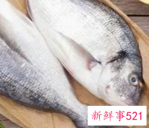 吃海鱼有哪些好处