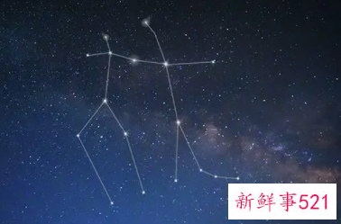 是什么星座的智商最高