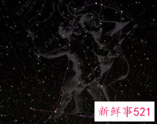 为什么双子座单身率高