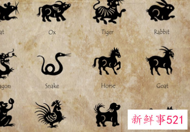 什么生肖不洗澡