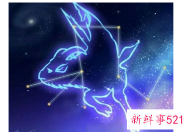 摩羯座的运势怎样