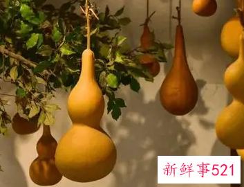 大门挂什么招财