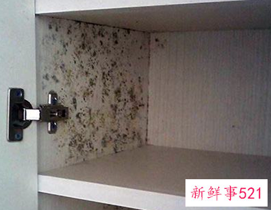 柜子发霉怎么处理