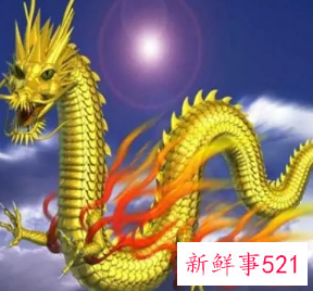 属龙是哪年出生的