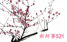 十大凶树有哪些