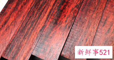 安哥拉紫檀是什么木