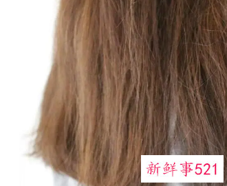 头发干枯毛躁做护理还是柔顺