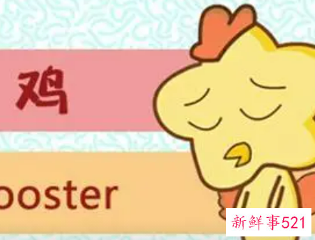 犯太岁的生肖有鸡吗