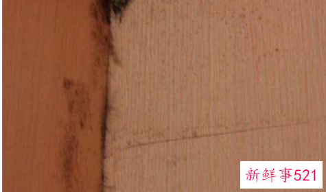 柜子发霉怎么处理