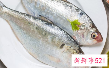 吃海鱼有哪些好处