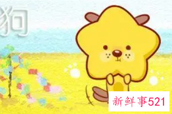 82年狗40岁后十年大运运程