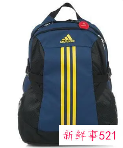 梦见自己背书包