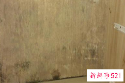 柜子发霉怎么处理