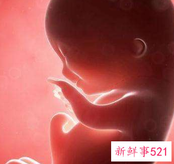 怀孕千万不要太早做b超